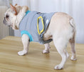 Load image into Gallery viewer, T-shirt post opération rafraîchissant pour Chien Oscar et Plume XS
