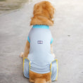 Load image into Gallery viewer, T-shirt post opération rafraîchissant pour Chien Oscar et Plume XS
