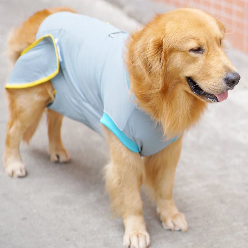 T-shirt post opération rafraîchissant pour Chien Oscar et Plume XS