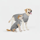 T-shirt post opératoire pour chien de couleur grise adapté pour les chiens après une opération