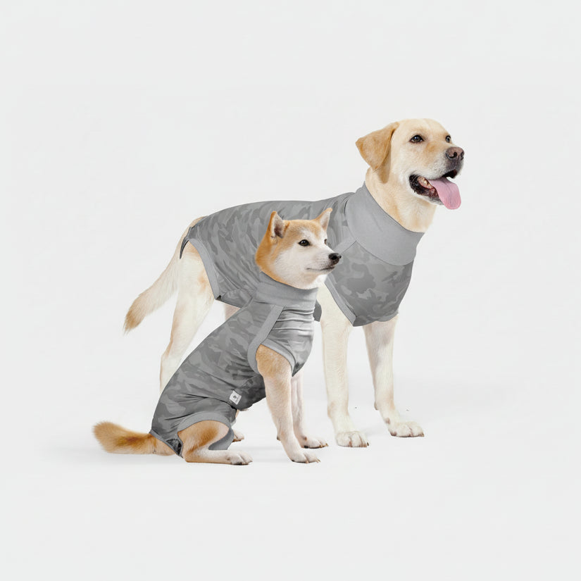 T-shirt post opératoire pour chien de couleur grise adapté pour les chiens après une opération