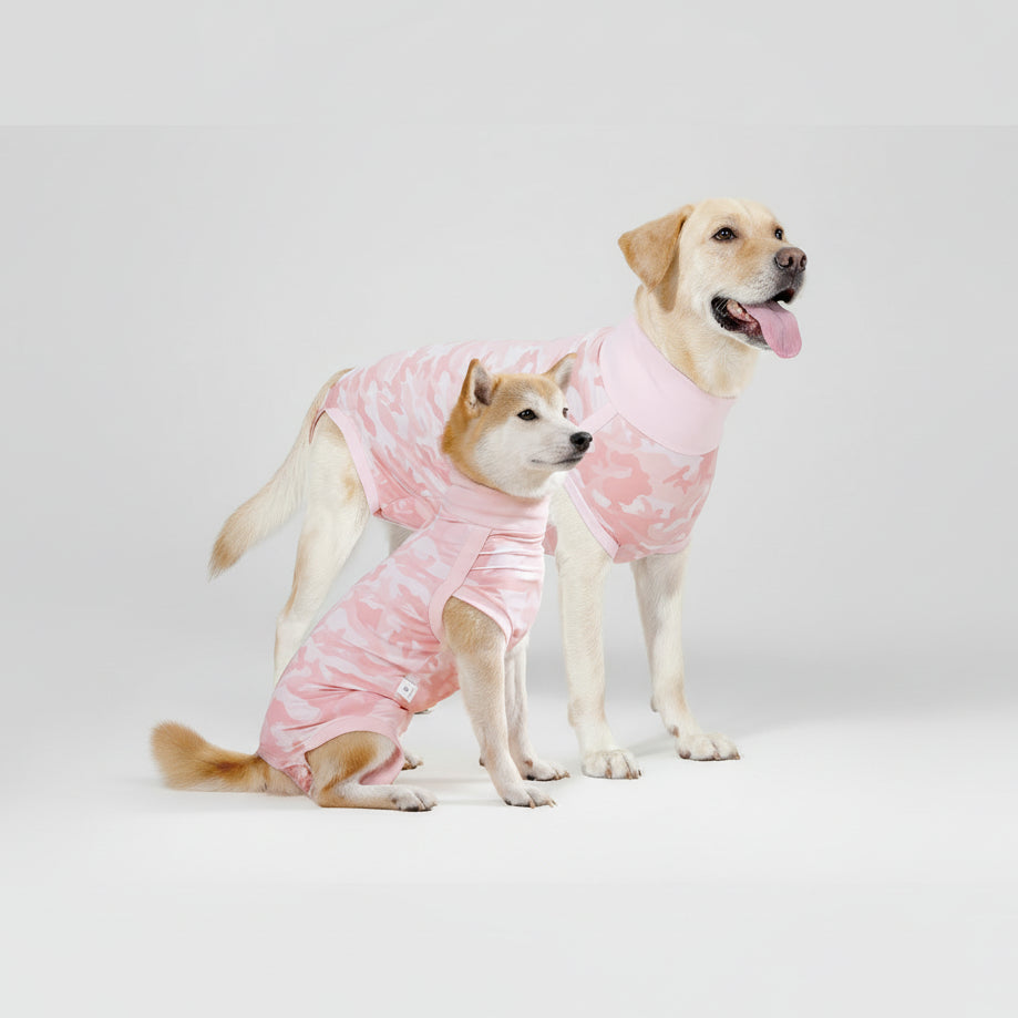T-shirt post opératoire pour chien en rose camouflage, idéal pour la récupération canine