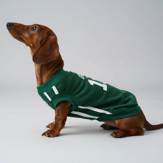 T-shirt pour chien teckel en vert avec empiècements blancs pour un style élégant et confortable