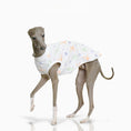 Load image into Gallery viewer, T-shirt pour Lévrier et Whippet Oscar et Plume S
