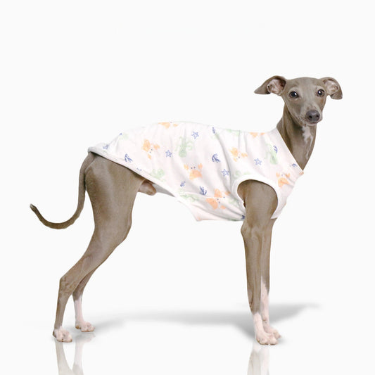 T-shirt pour Lévrier et Whippet Oscar et Plume S