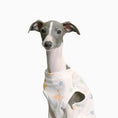 Load image into Gallery viewer, T-shirt pour Lévrier et Whippet Oscar et Plume S
