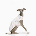 Load image into Gallery viewer, T-shirt pour Lévrier et Whippet Oscar et Plume S
