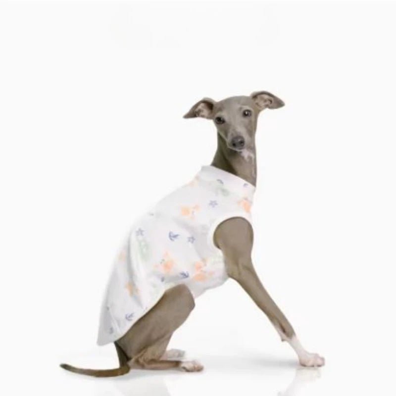 T-shirt pour Lévrier et Whippet Oscar et Plume S