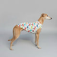 Charger l'image dans la visionneuse de la galerie, T-shirt pour Lévrier et whippet multicolore avec motifs dinosaures porté sur un mannequin chien blanc dans un parc
