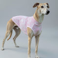 Charger l'image dans la visionneuse de la galerie, T-shirt pour Lévrier et whippet rose clair porté par un mannequin de chien élégant dans un parc

