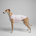 Charger l'image dans la visionneuse de la galerie, T-shirt pour Lévrier et whippet en tissu rose clair porté par un mannequin de chien dans un parc
