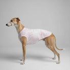 T-shirt pour Lévrier et whippet en tissu rose clair porté par un mannequin de chien dans un parc