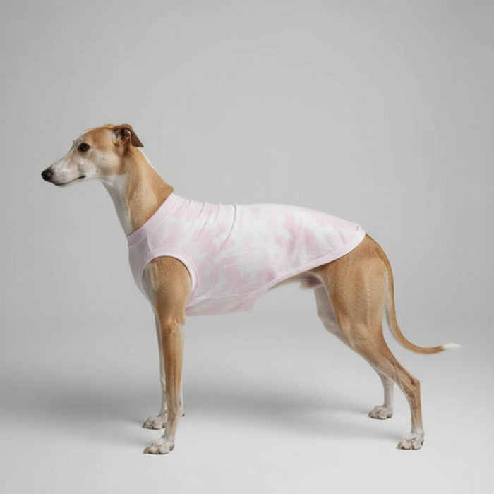 T-shirt pour Lévrier et whippet en tissu rose clair porté par un mannequin de chien dans un parc