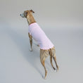 Charger l'image dans la visionneuse de la galerie, T-shirt pour Lévrier et whippet couleur pastel porté sur mannequin chien au parc
