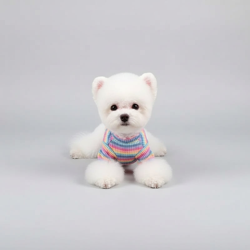 T-shirt pour petit chien rayé multicolore pour un look élégant et tendance