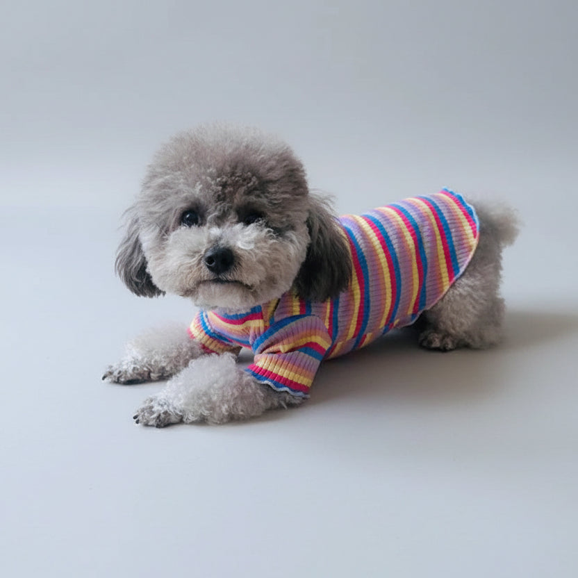 T-shirt pour petit chien rayé en couleurs vives, parfait pour les promenades stylées