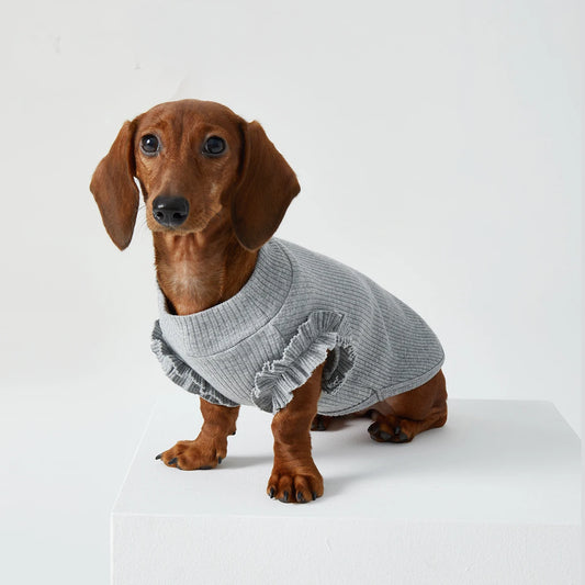 T-shirt pour teckel avec volants gris pour un look tendance de votre chien