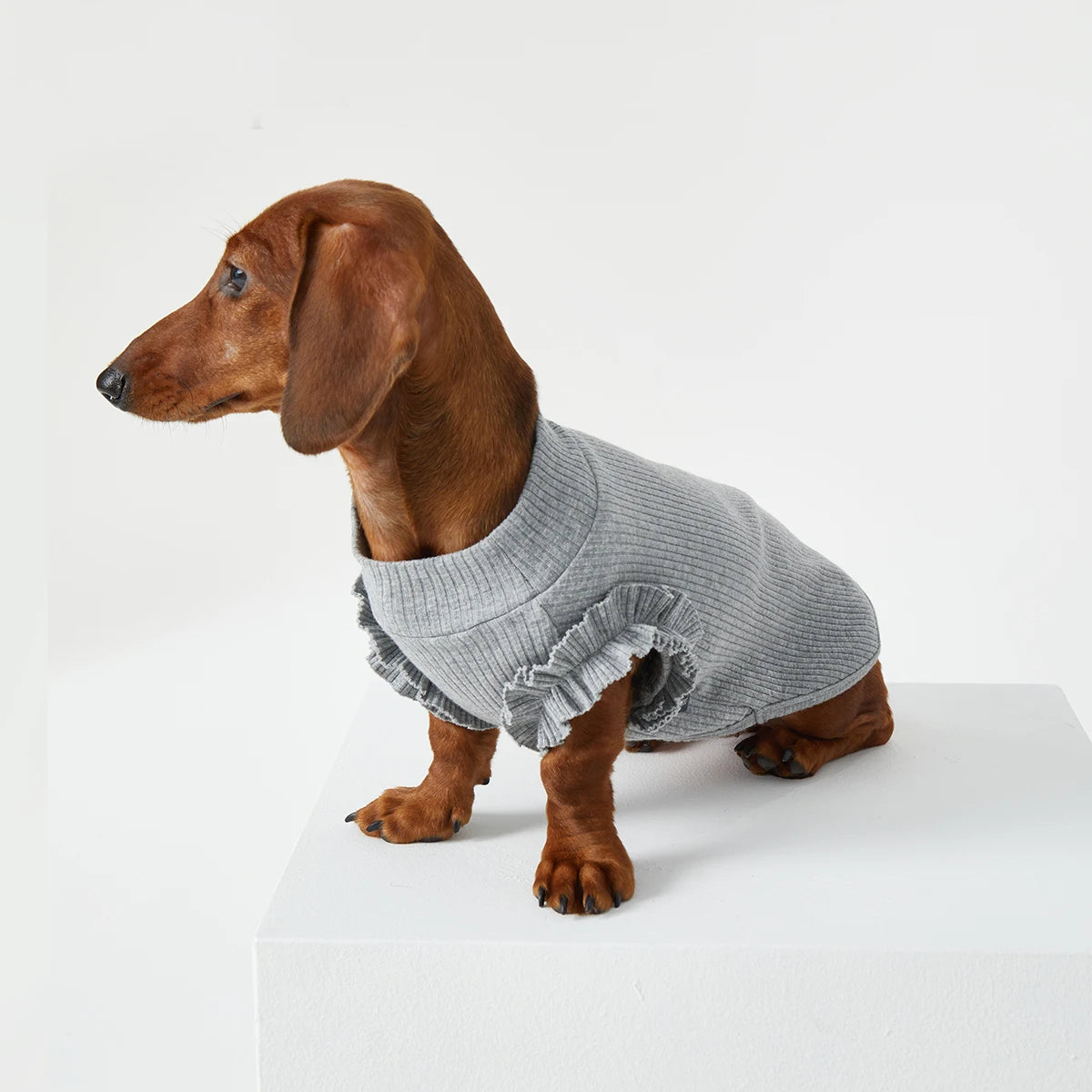 T-shirt pour teckel avec volants en gris, parfait pour le style de votre chien