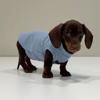 T-shirt pour teckel en bleu avec une coupe confortable pour chiens de petite taille