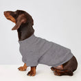 Carica l'immagine nel visualizzatore della galleria, T-shirt pour teckel en gris, conçu pour le confort et le style des petits chiens

