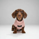 T-shirt pour teckel en rose avec col roulé pour chiens élégants et confortables