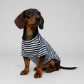 Charger l'image dans la visionneuse de la galerie, T-shirt pour teckel à rayures noires et blanches, conçu pour le confort et le style des petits chiens
