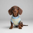 T-shirt pour teckel à rayures pastel pour un look stylé et confortable