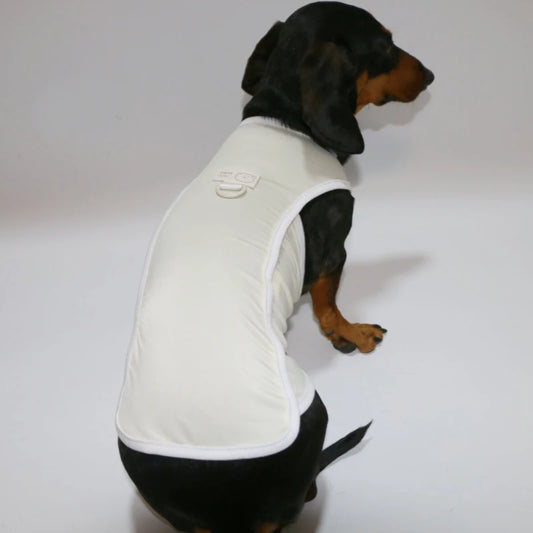 T-shirt pour teckel Oscar et Plume en tissu léger et confortable, idéal pour les journées ensoleillées.