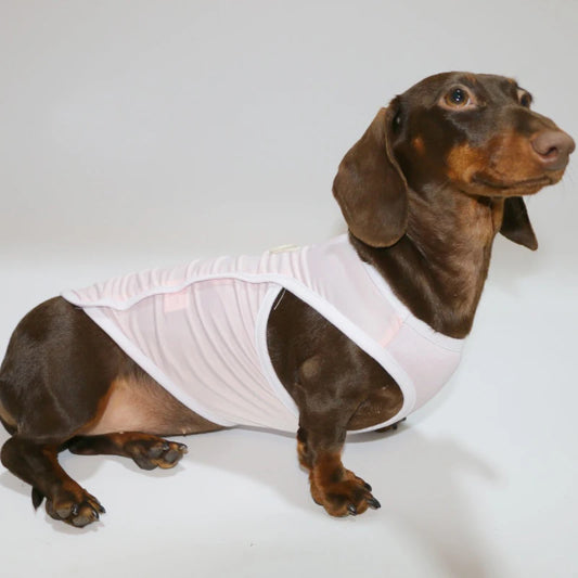 T-shirt pour teckel en rose confortable, idéal pour garder votre chien au frais et stylé