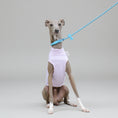 Cargar la imagen en la vista de la galería, T-shirt protection pour lévrier de la marque Oscar et Plume, conçu pour le confort de votre chien.
