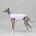 Cargar la imagen en la vista de la galería, T-shirt protection pour lévrier en violet, idéal pour protéger votre chien lors des promenades
