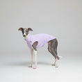 Cargar la imagen en la vista de la galería, T-shirt protection pour lévrier en violet, conçu pour le confort et la mobilité des chiens
