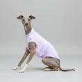 Cargar la imagen en la vista de la galería, T-shirt protection pour lévrier en rose, conçu pour le confort des chiens élégants
