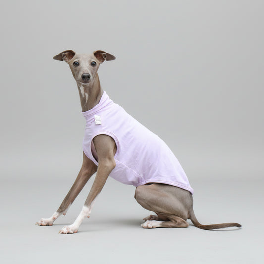 T-shirt protection pour lévrier en rose, conçu pour le confort des chiens élégants
