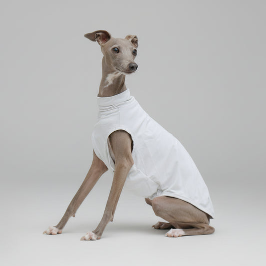T-shirt protection solaire Lévrier en blanc pour garder votre chien au frais et protégé