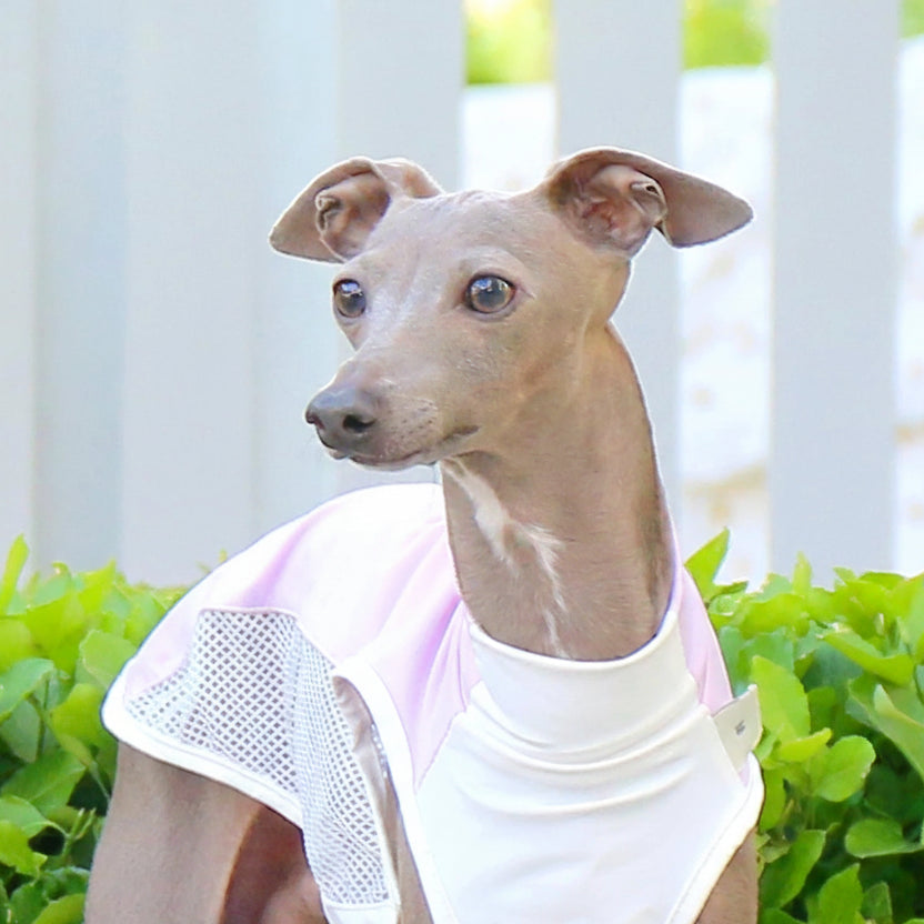 T-shirt rafraîchissant lévrier en rose avec textile aéré pour garder votre chien au frais