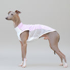 T-shirt rafraîchissant lévrier en tissu léger et respirant pour chiens élégants