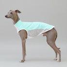 T-shirt rafraîchissant lévrier en tissu léger avec maille pour garder votre chien frais