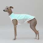 T-shirt rafraîchissant lévrier en tissu léger avec maille pour garder votre chien frais