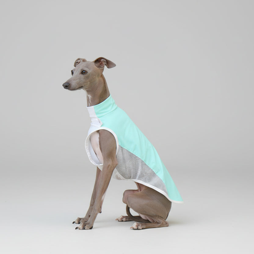 T-shirt rafraîchissant lévrier en bleu clair pour garder votre chien à l'aise pendant l'été