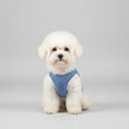 Carica l'immagine nel visualizzatore della galleria, T-shirt rafraîchissant pour chien en bleu, idéal pour garde au frais pendant les journées chaudes.
