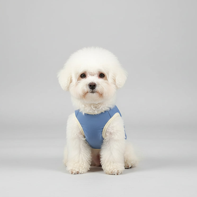 T-shirt rafraîchissant pour chien en bleu, idéal pour garde au frais pendant les journées chaudes.
