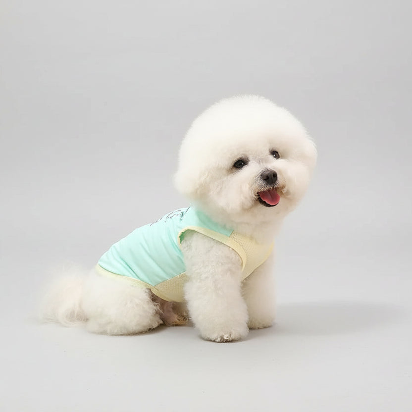 T-shirt rafraîchissant pour chien Oscar et Plume, conçu pour le confort et le style des animaux de compagnie