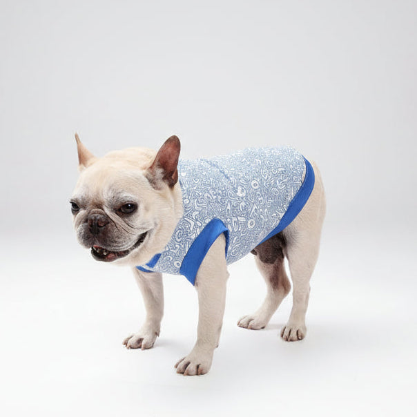 Chien bouledogue français portant un t-shirt rafraîchissant pour chien de la marque Oscar et Plume