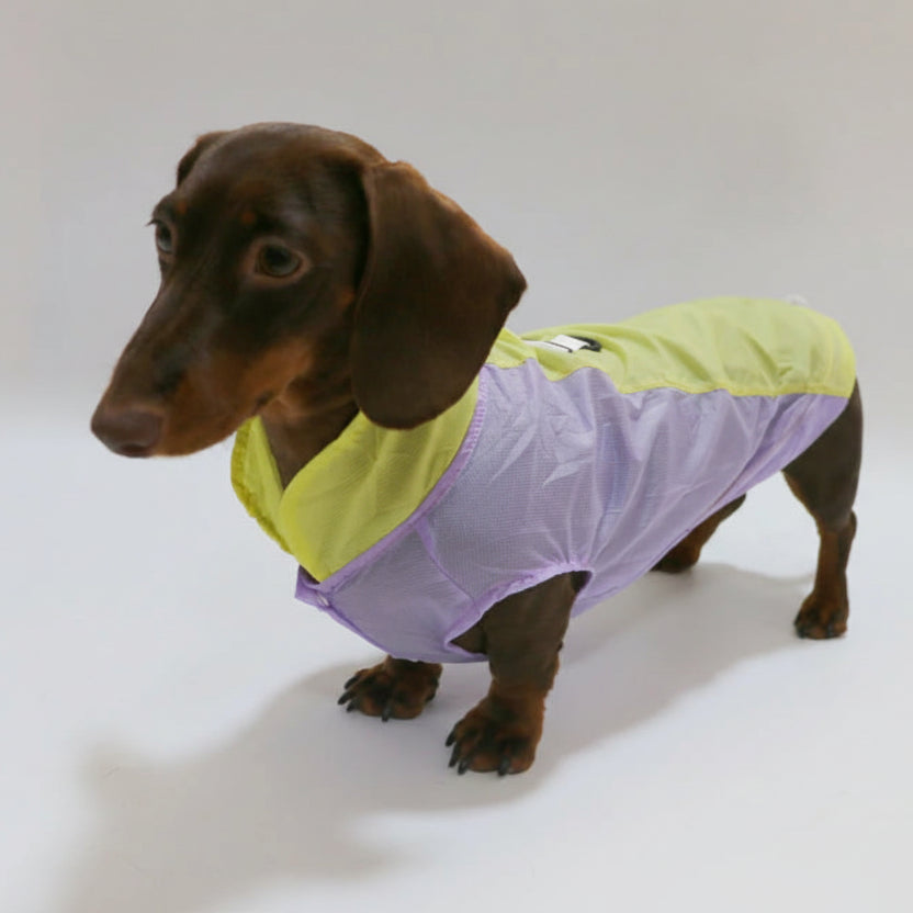 T-shirt rafraîchissant pour teckel en lilas et jaune avec col et coupe confortable