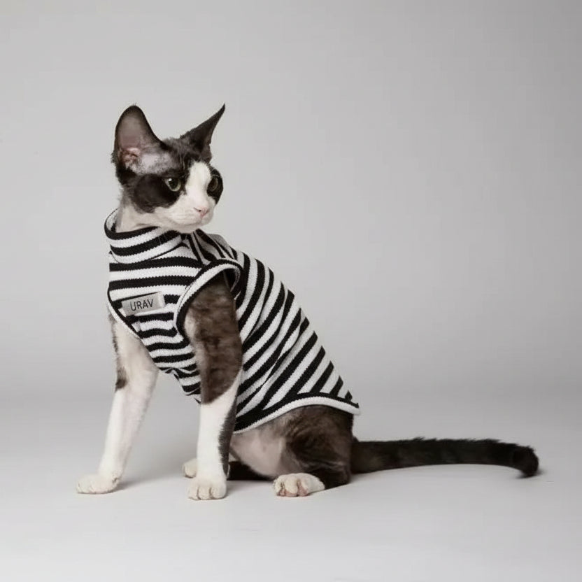 T-shirt rayé pour chat noir et blanc de la marque Oscar et Plume, parfait pour les félins à la mode