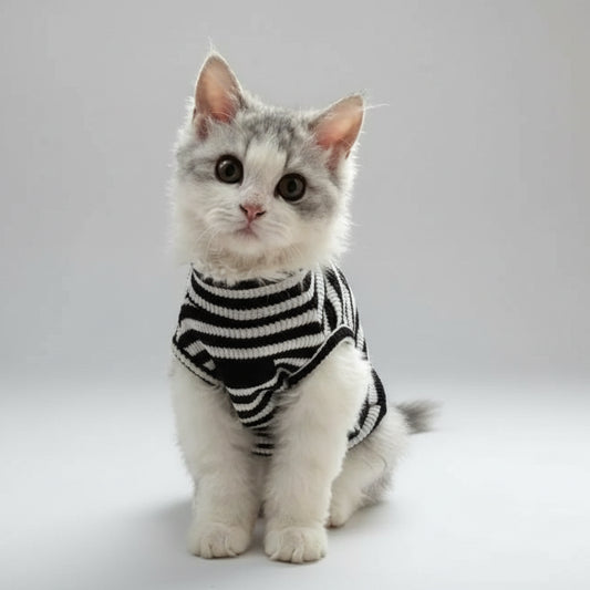 T-shirt rayé pour chat noir et blanc, parfait pour les chats à la mode