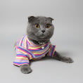 Charger l'image dans la visionneuse de la galerie, T-shirt rayé pour chat Oscar et Plume en couleurs pastel avec manches courtes, parfait pour les félins stylés
