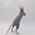 Load image into Gallery viewer, Chat Sphynx en t-shirt rayé pour chat Sphynx, vue de dos, mettant en avant un style unique.
