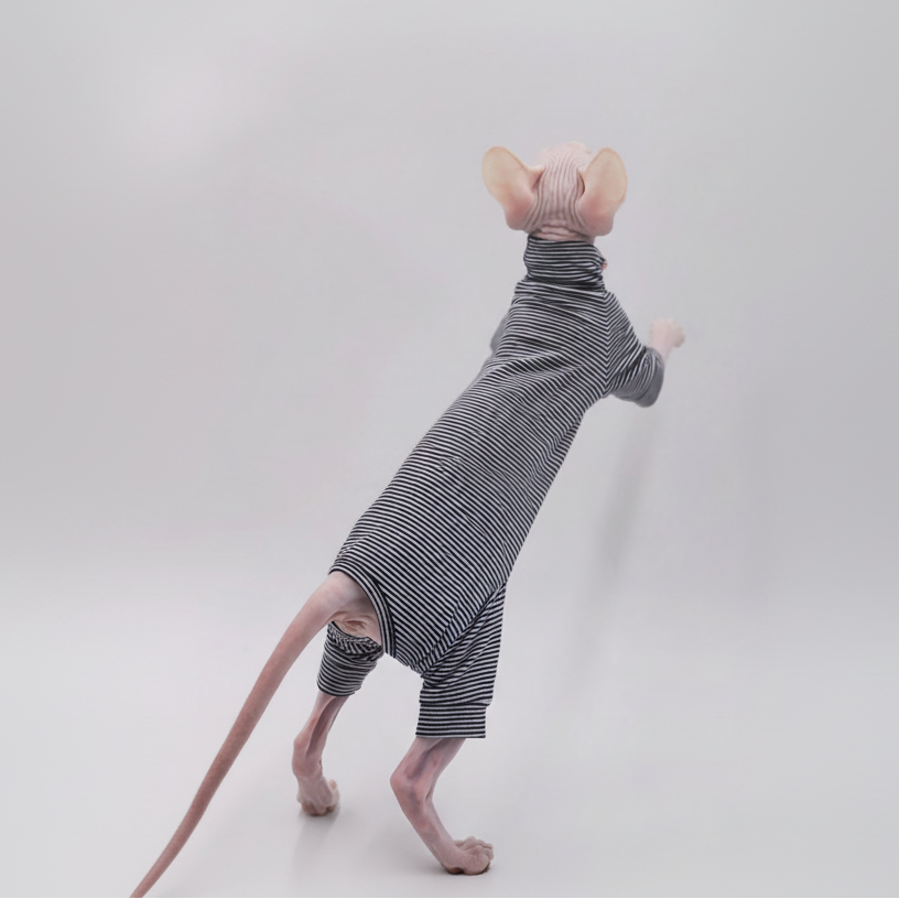 Chat Sphynx en t-shirt rayé pour chat Sphynx, vue de dos, mettant en avant un style unique.